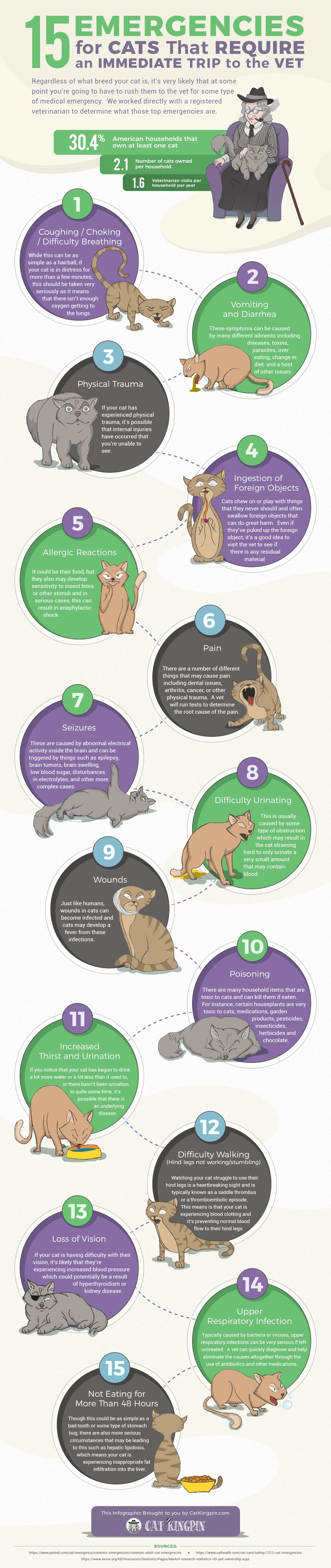 CK_infographic_Vet Emergencies