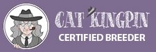 Cat Kingpin Certified breeder